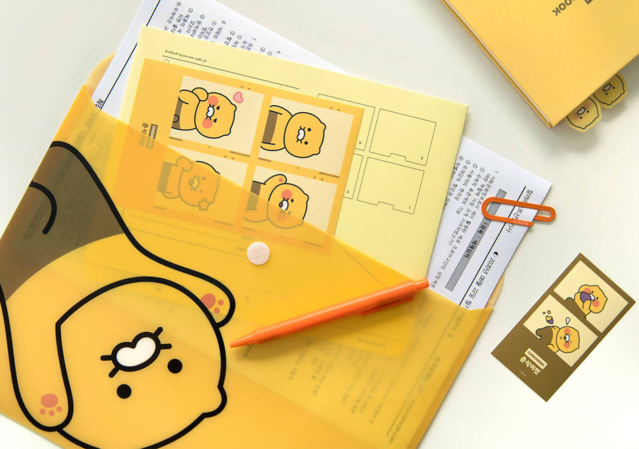 Kakao Friends Chunsik Envelope File