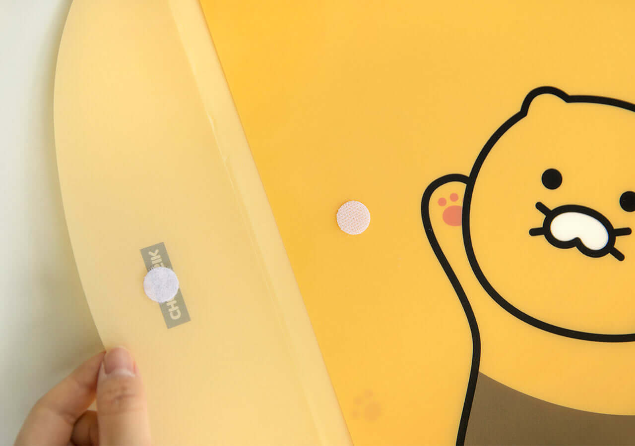 Kakao Friends Chunsik Envelope File