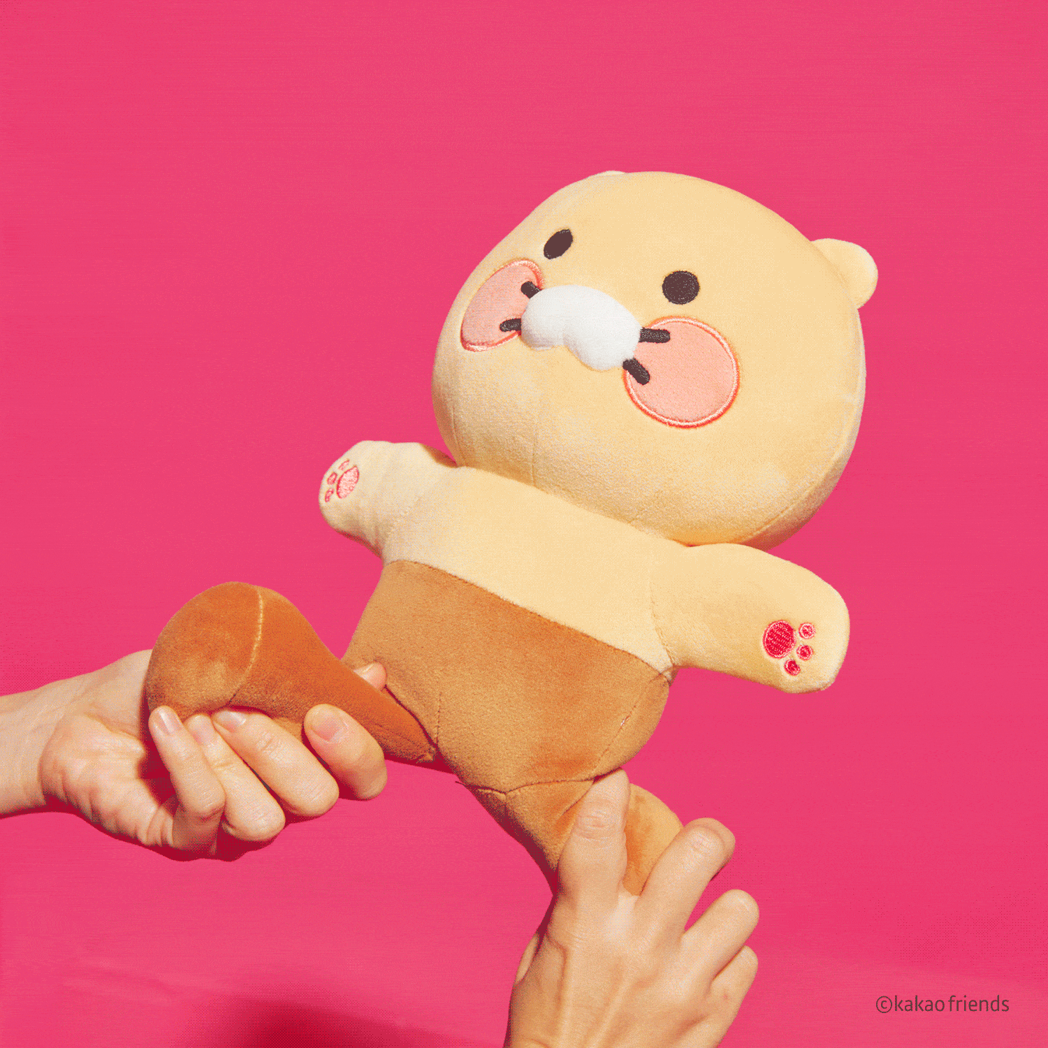 X Friends Plush Chunsik ( 2 ) - Korean kawaii Kakao Friends | Koolseoul