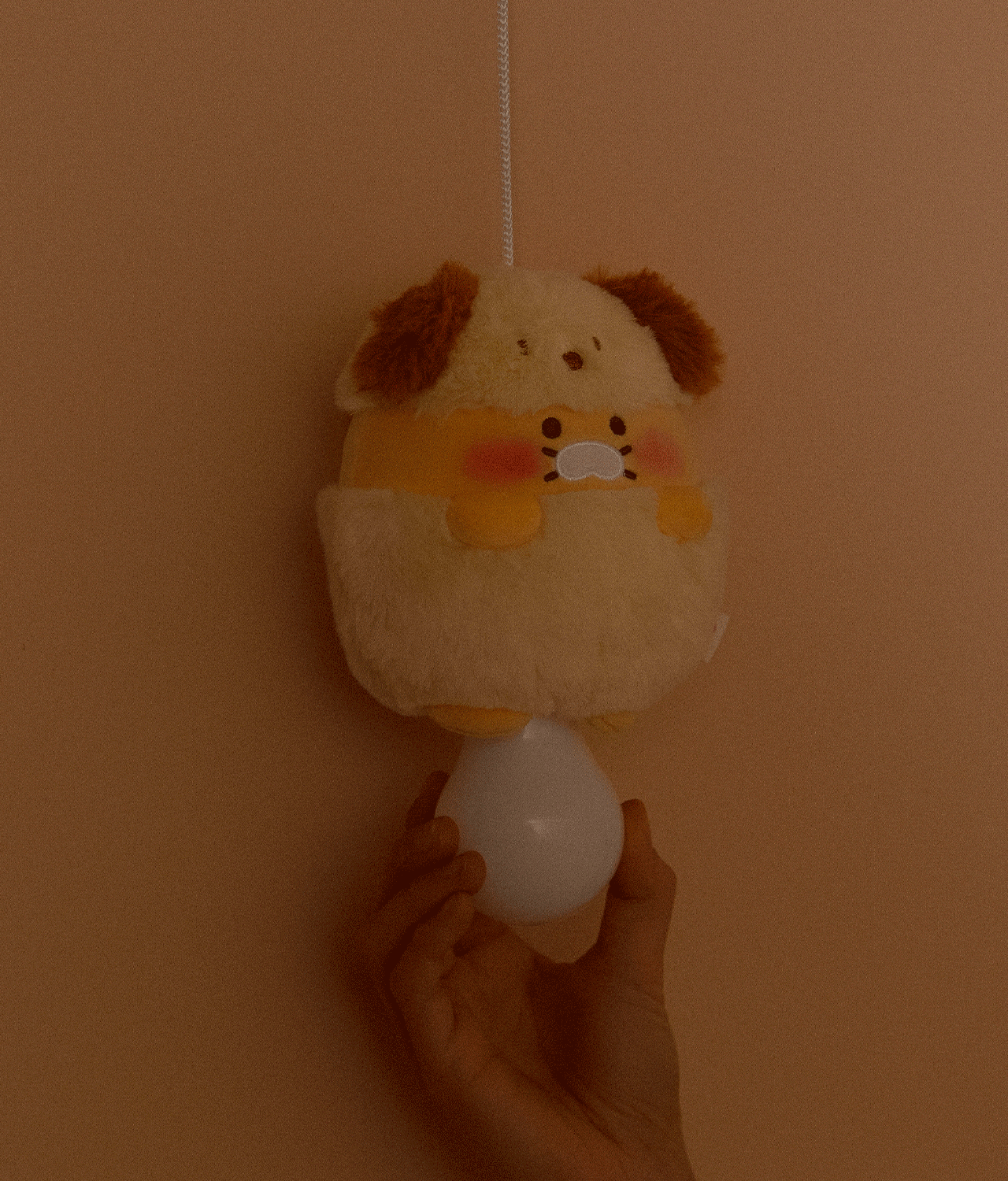 Night Light Chunsik - Korean kawaii Kakao Friends | Koolseoul