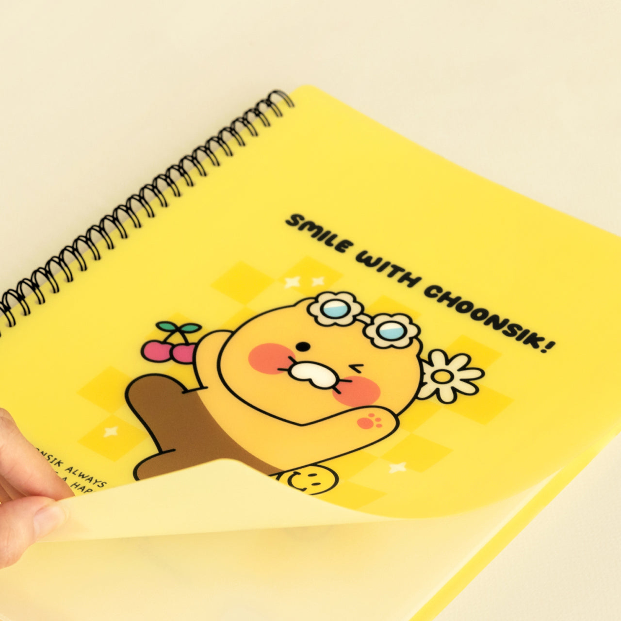 Kakao Friends Chunsik Clear File