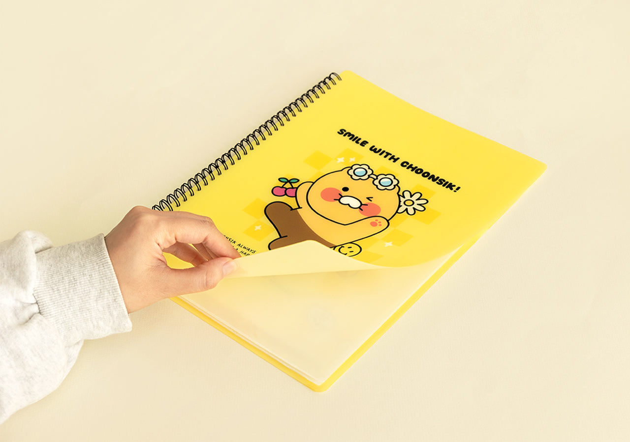 Kakao Friends Chunsik Clear File