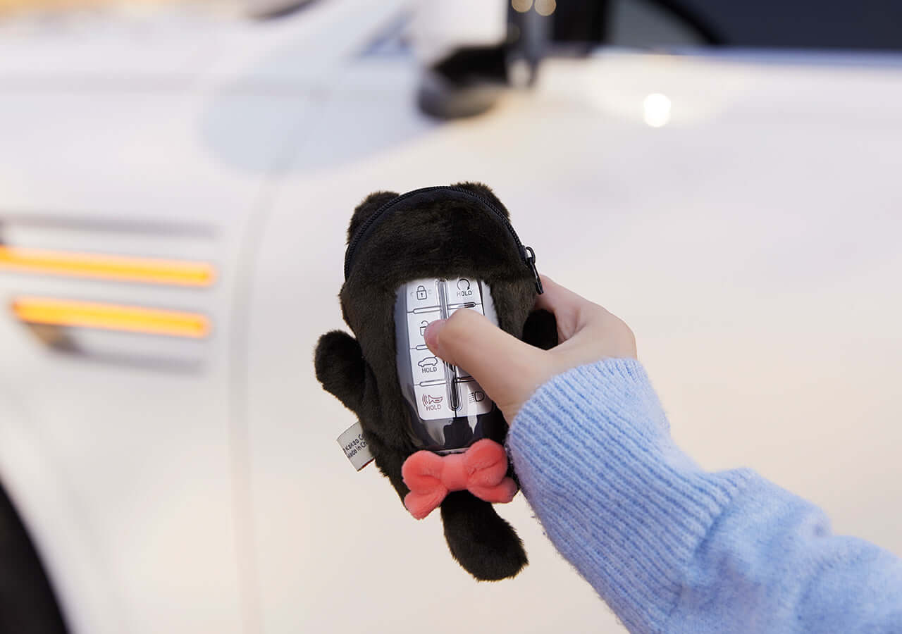 Kakao Friends Ryan Smart Key Case