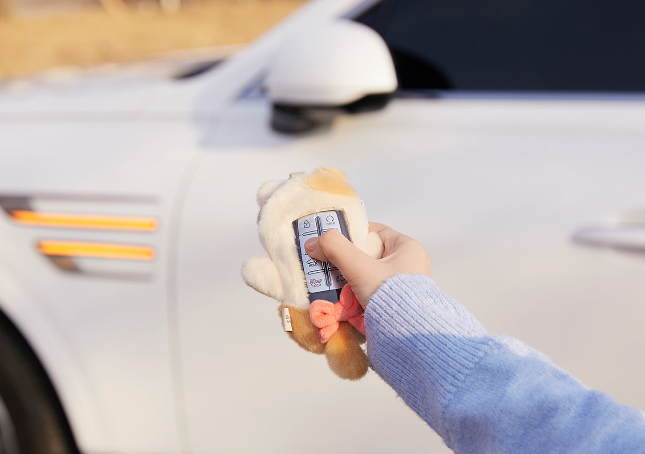 Plush Chunsik Car Accessory - Official Kakao Friends merchandise | Koolseoul
