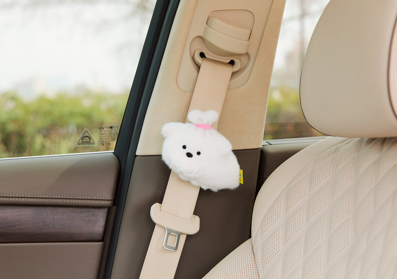 Kakao Friends Item Car Accessory - Official Kakao Friends merchandise | Koolseoul