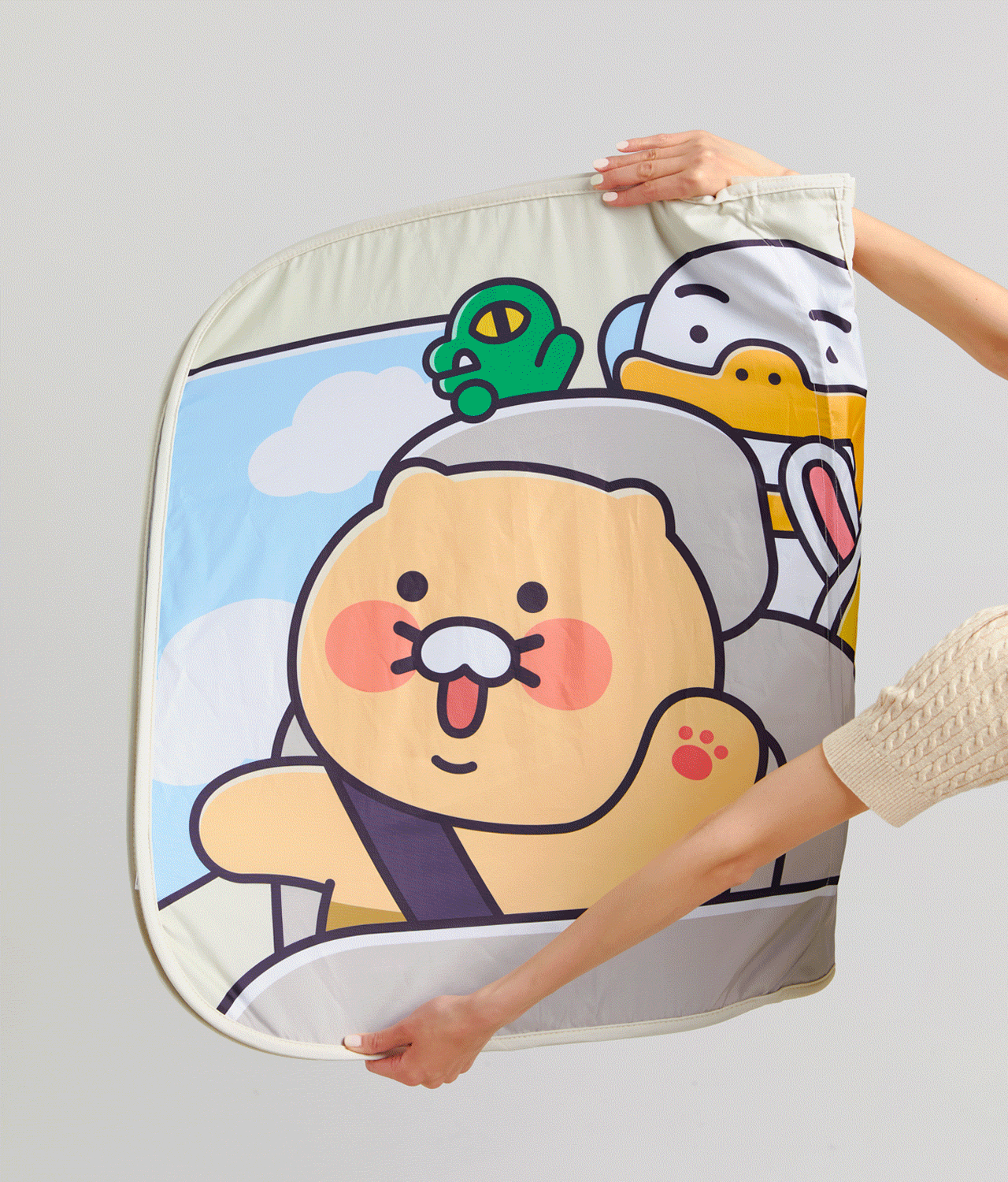 Glass Friends Car Accessory - Official Kakao Friends merchandise | Koolseoul