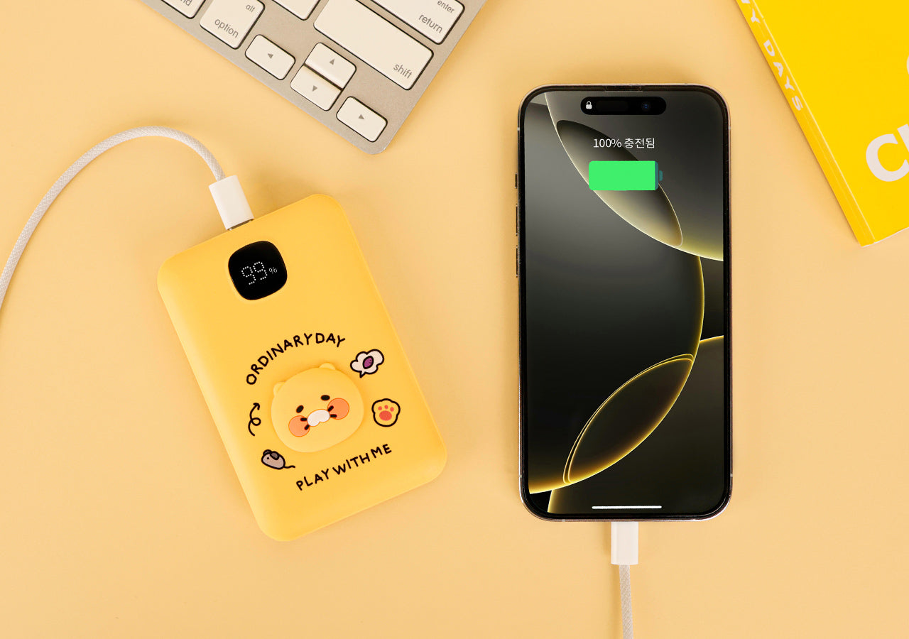 Power Bank 10,000 - Official Kakao Friends merchandise | Koolseoul