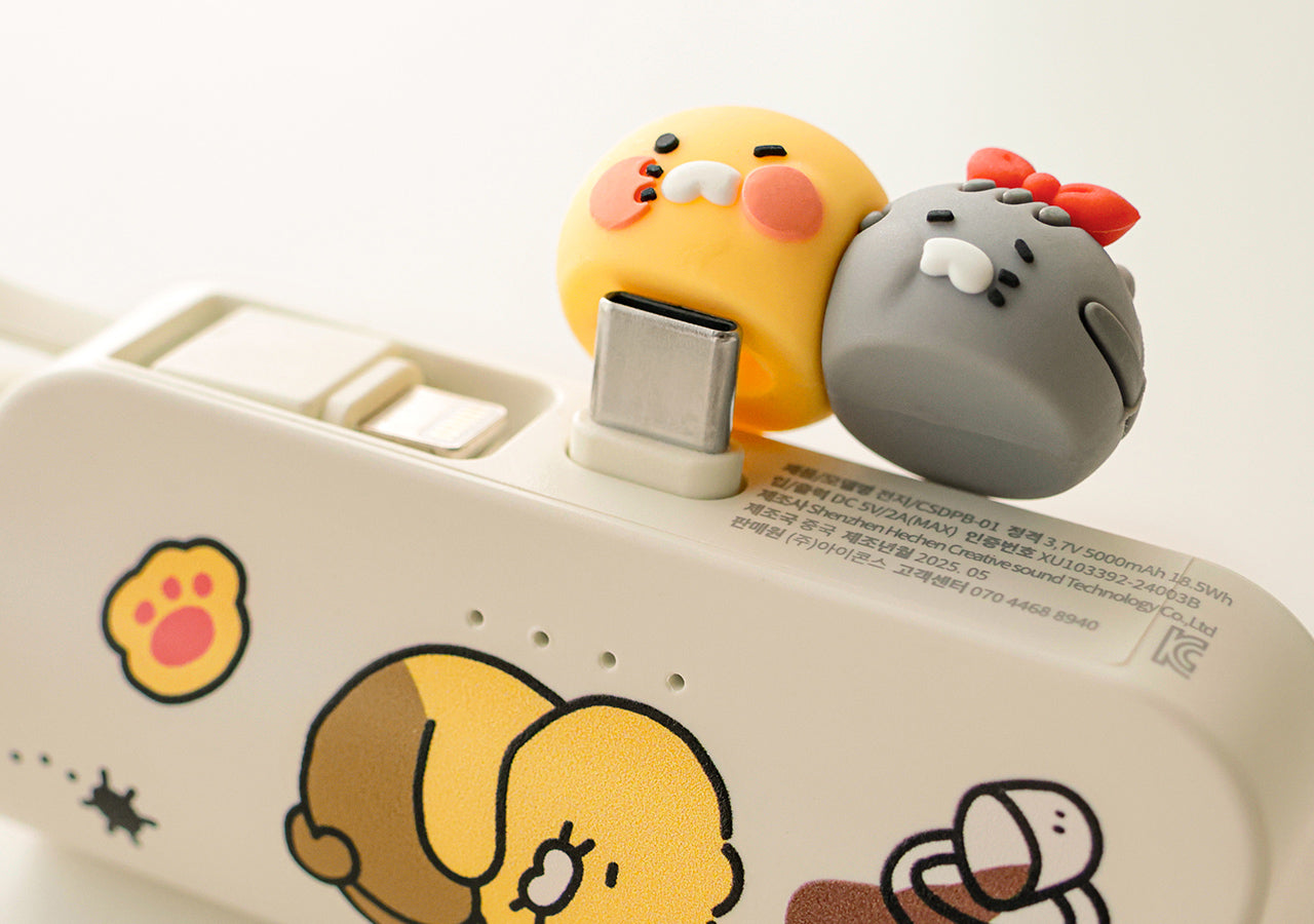 Power Bank 5,000 C Chunsik - Authentic Kakao Friends from Korea | Koolseoul