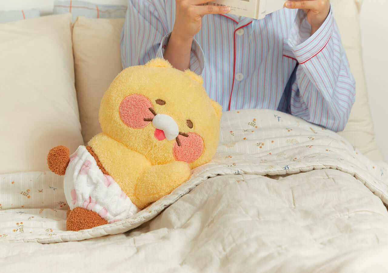 Kakao Friends Friends Mini Pillow