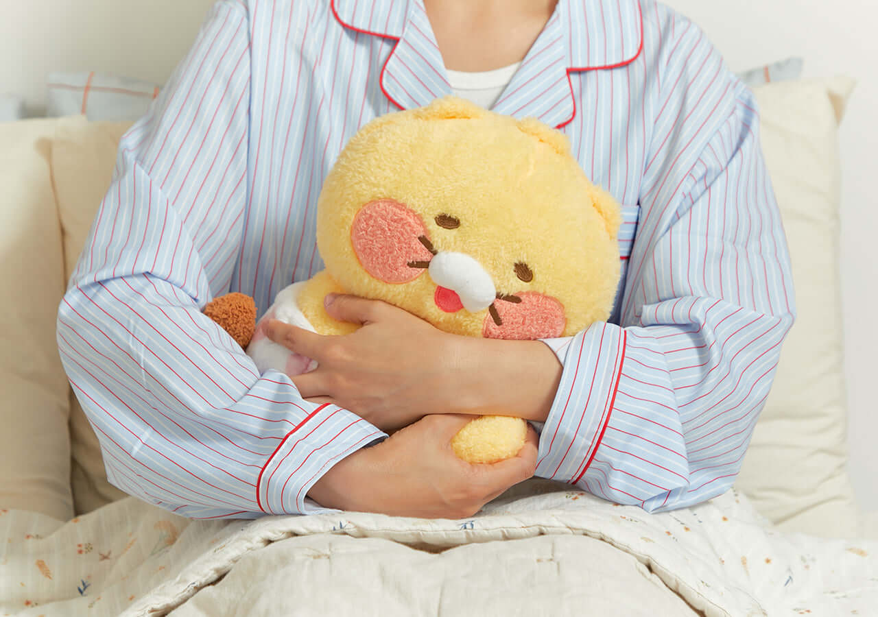 Kakao Friends Friends Mini Pillow