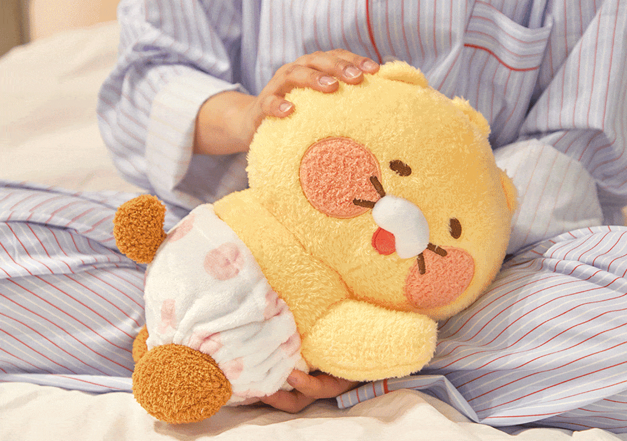 Kakao Friends Friends Mini Pillow