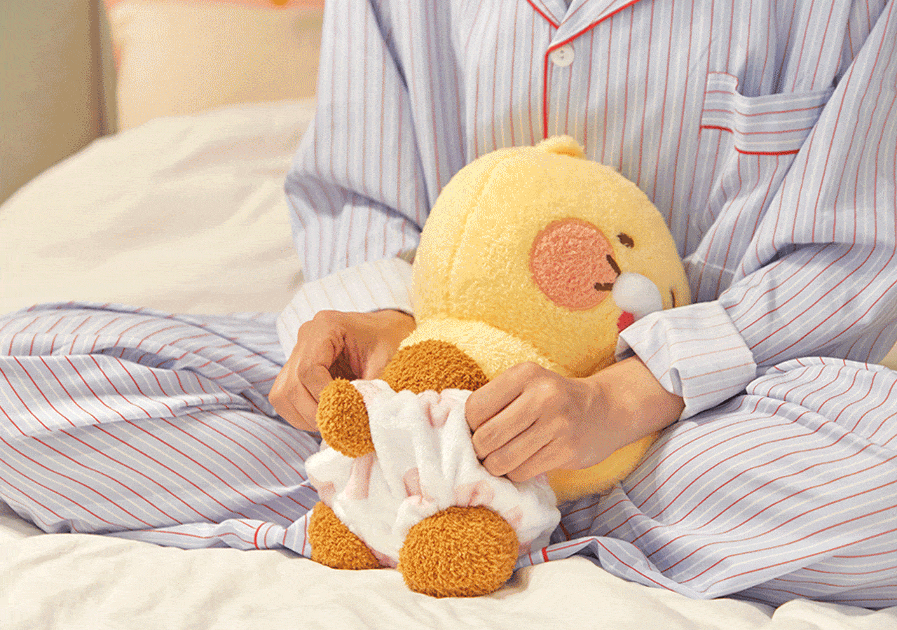 Kakao Friends Friends Mini Pillow