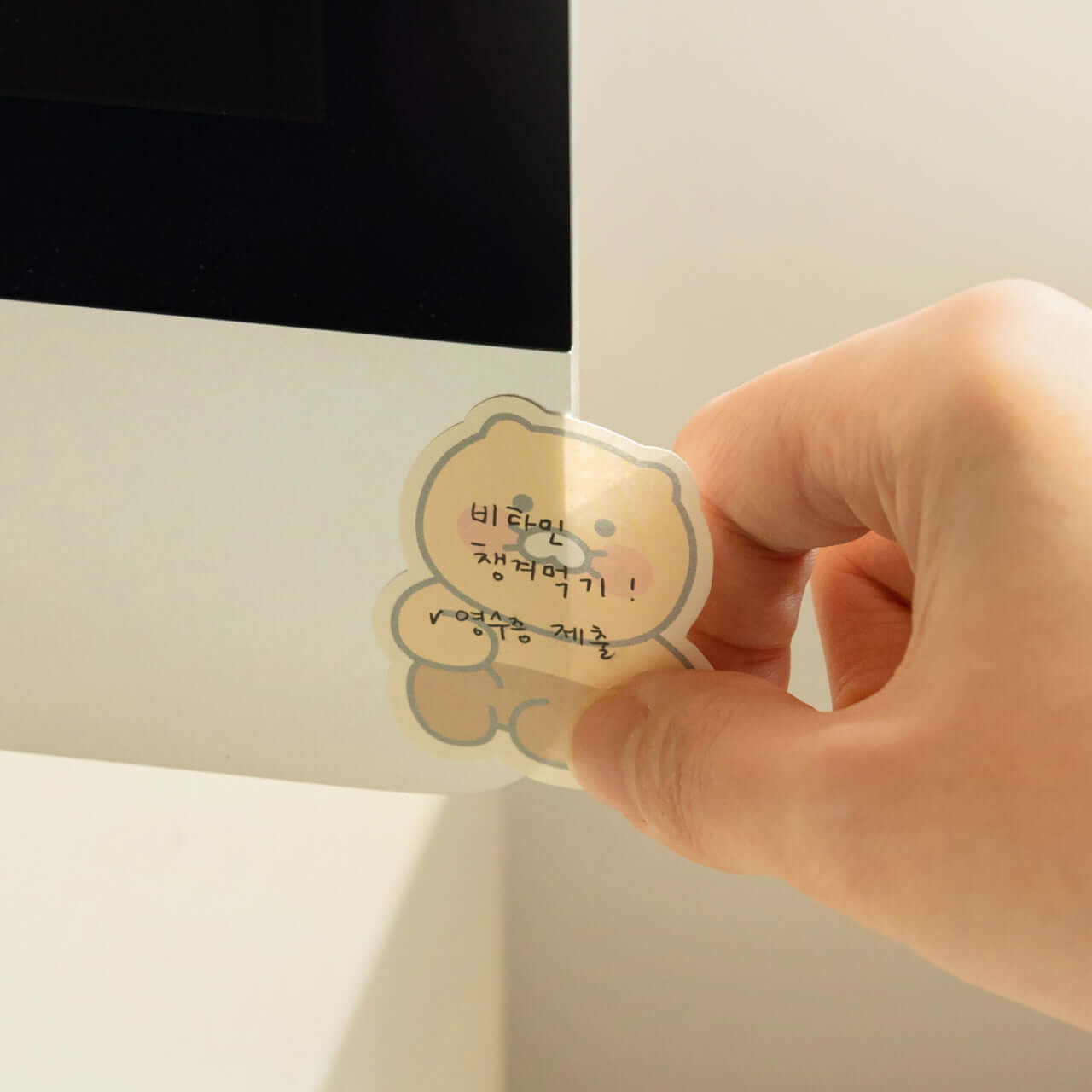 Kakao Friends Chunsik Sticky Notes