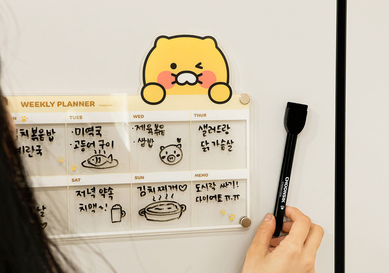 Magnet Set - Authentic Kakao Friends from Korea | Koolseoul