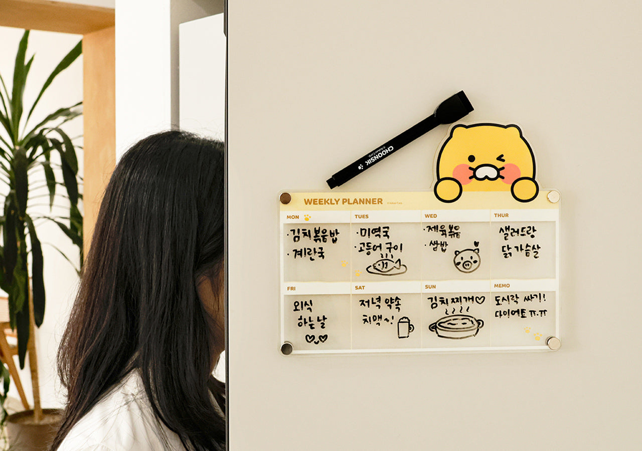 Magnet Set - Korean kawaii Kakao Friends | Koolseoul