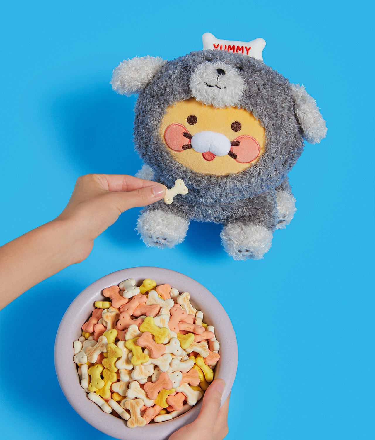 Plush Chunsik - Official Kakao Friends merchandise | Koolseoul