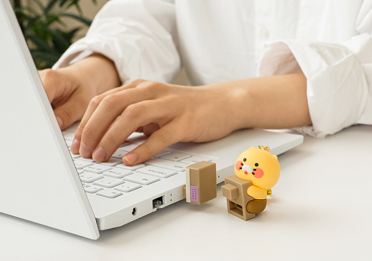 64GB USB Figurine Keychain Chunsik - Authentic Kakao Friends from Korea | Koolseoul