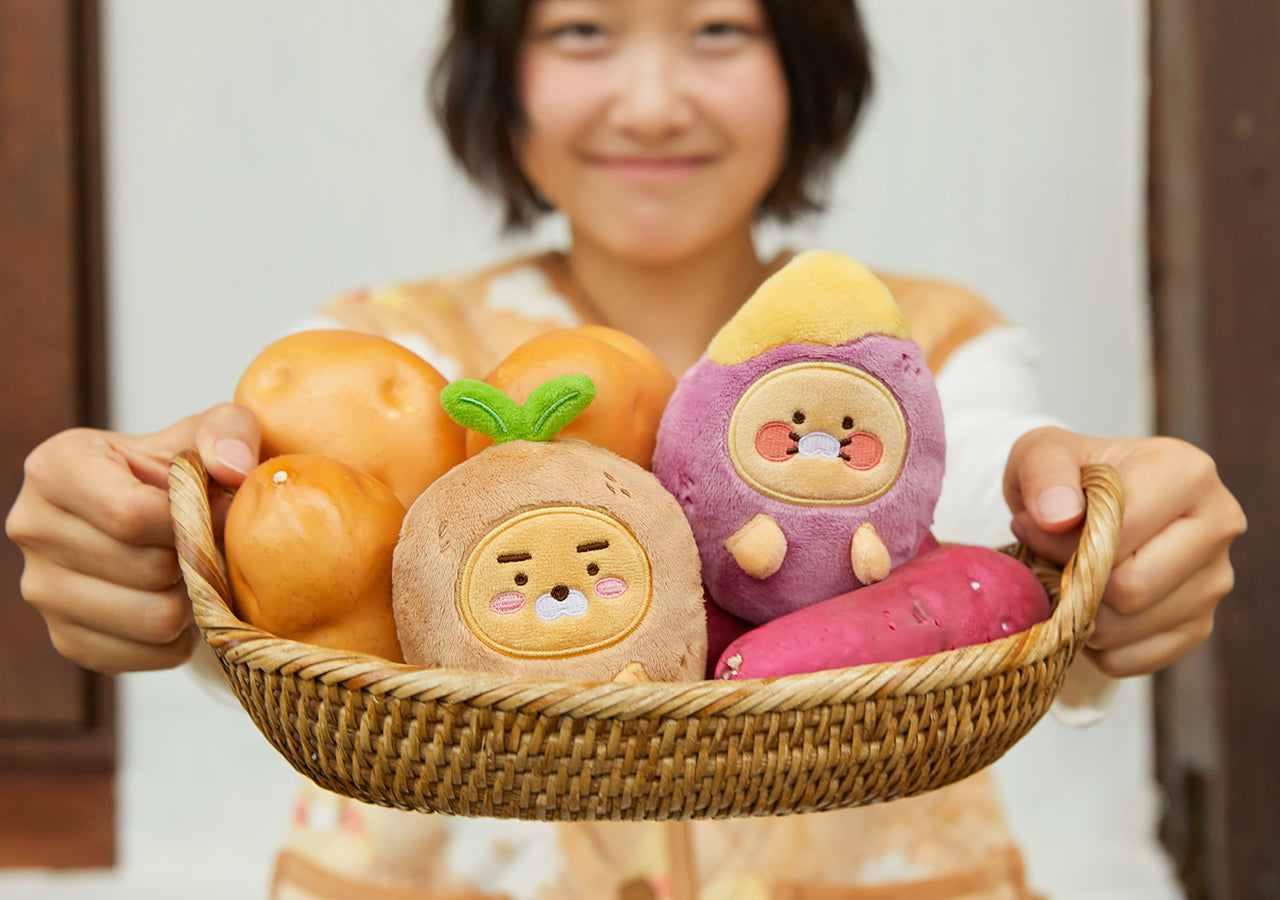 Plush Chunsik - Official Kakao Friends merchandise | Koolseoul