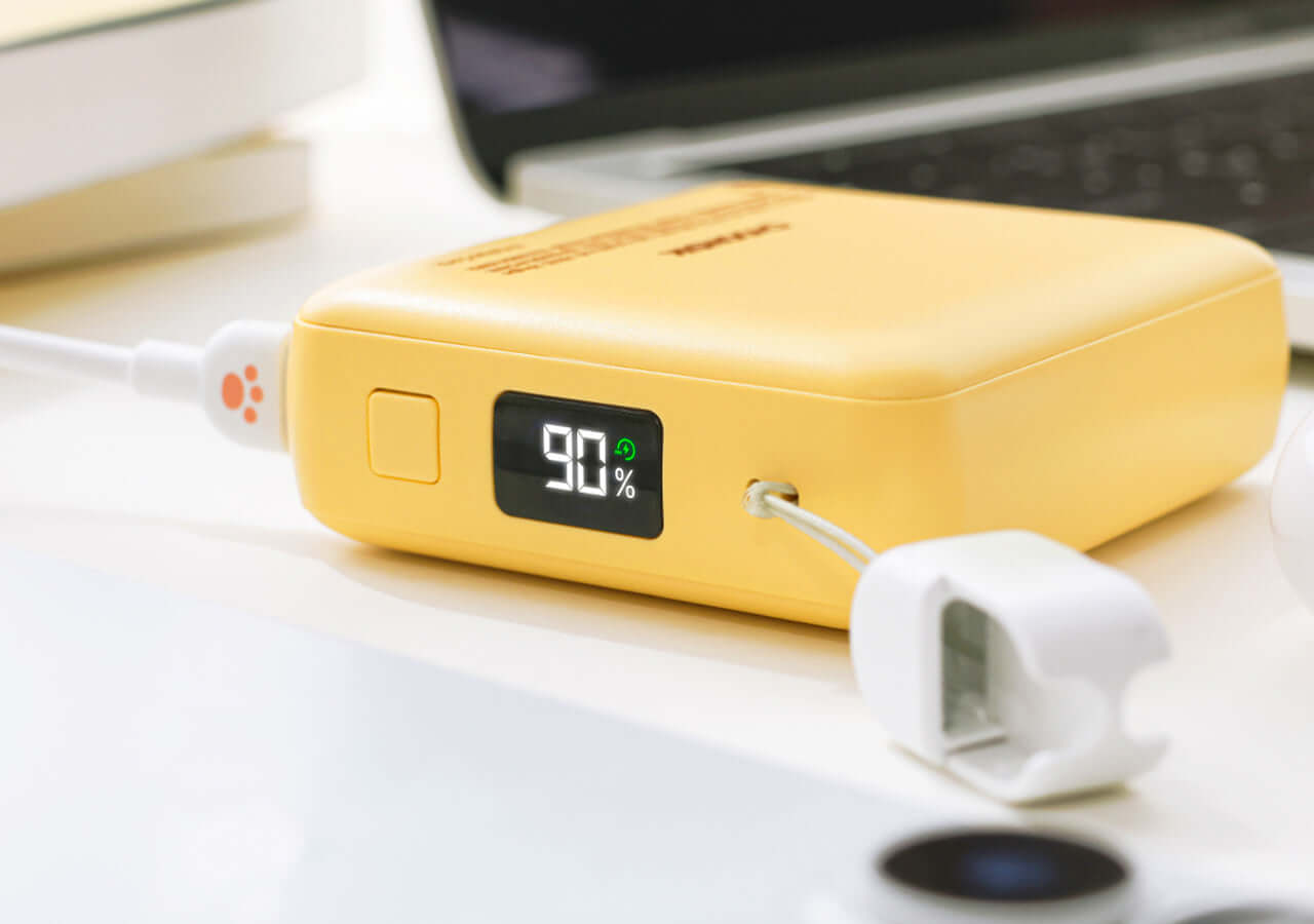 Kakao Friends Chunsik Power Bank