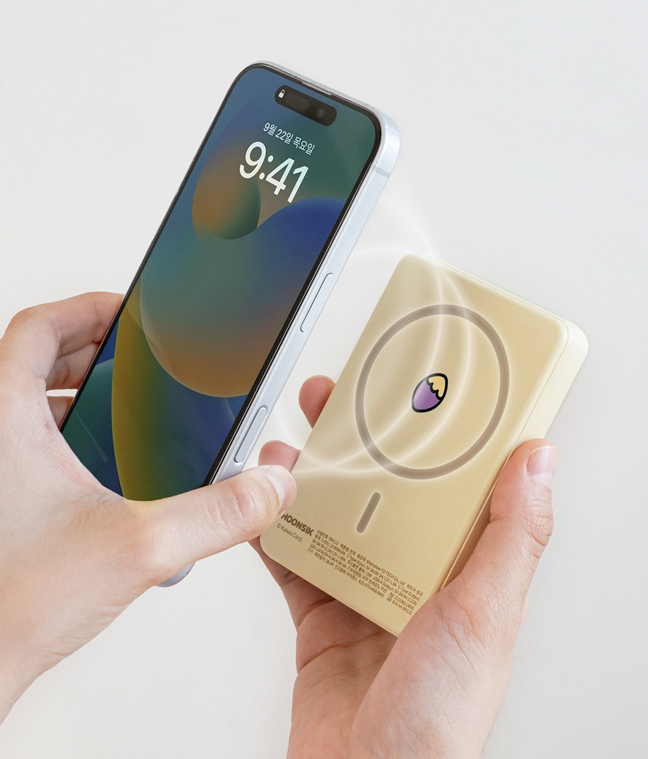 Kakao Friends Chunsik Power Bank