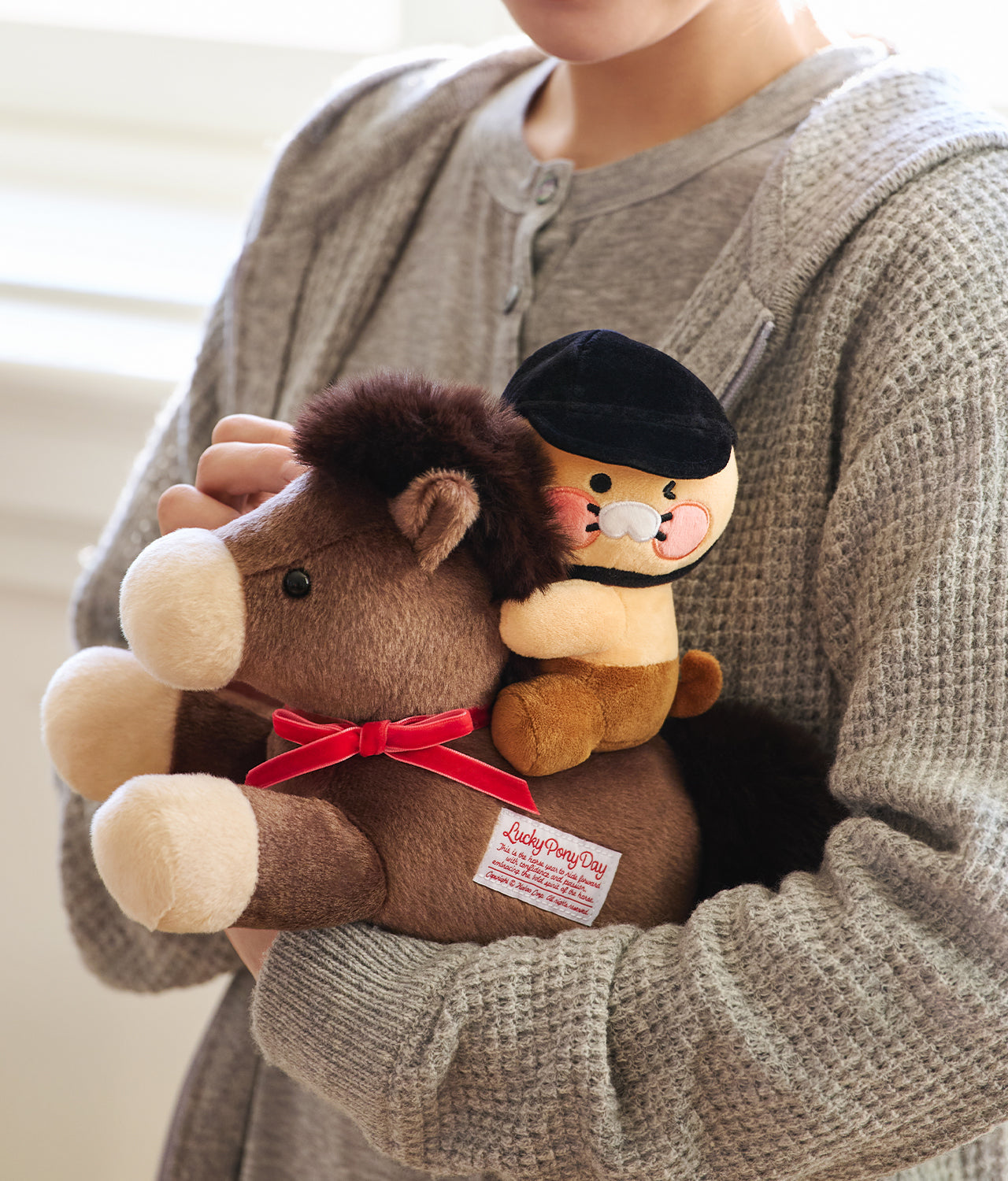Plush Chunsik - Official Kakao Friends merchandise | Koolseoul