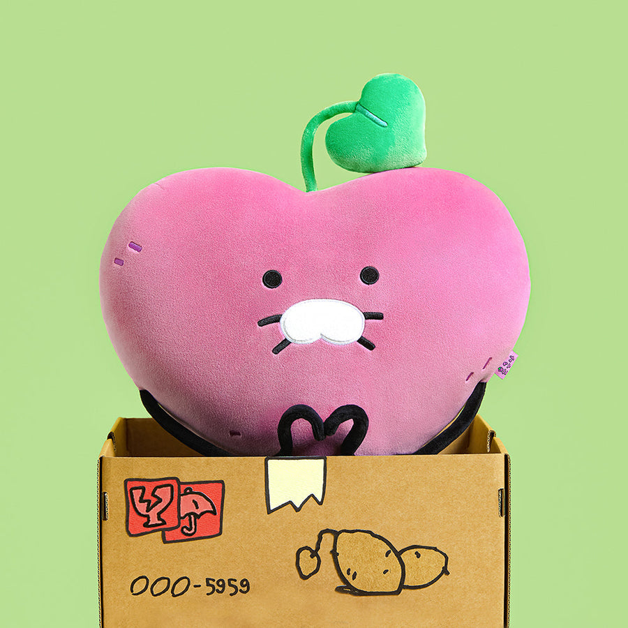Kakao Friends - Cushion