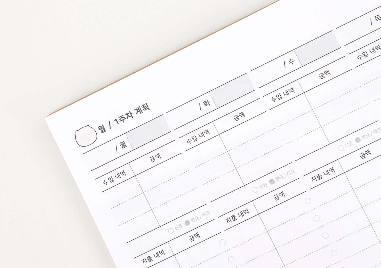 Kakao Friends Ryan Budget Book
