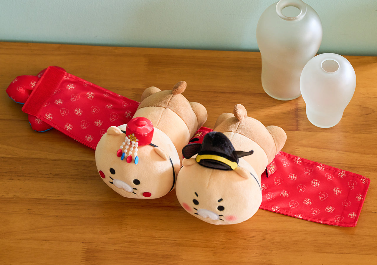 Plush Set Chunsik - Authentic Kakao Friends from Korea | Koolseoul