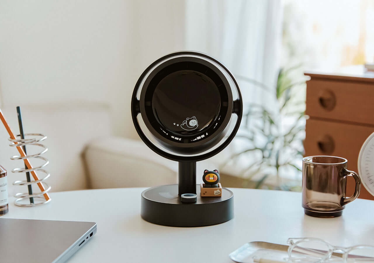Kakao Friends Chunsik Fan