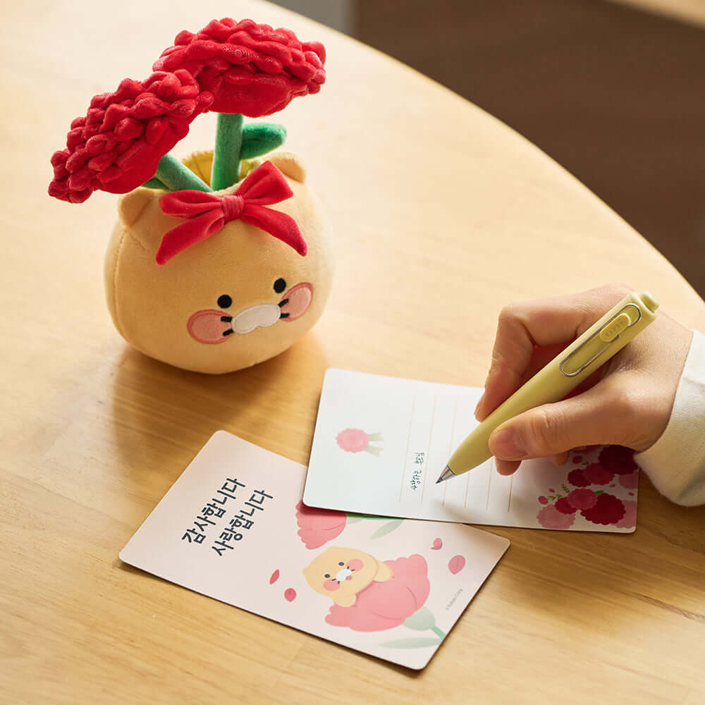 Kakao Friends Chunsik Item