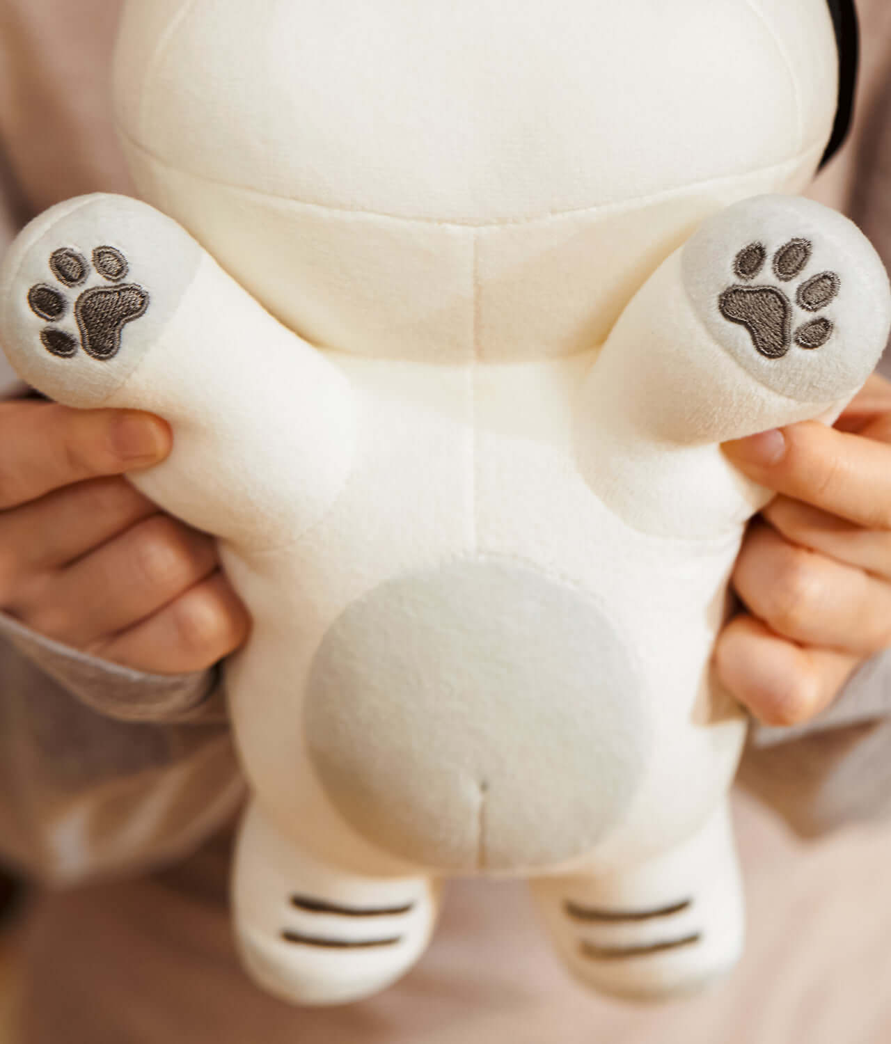 Kakao Friends Chunsik Mini Pillow