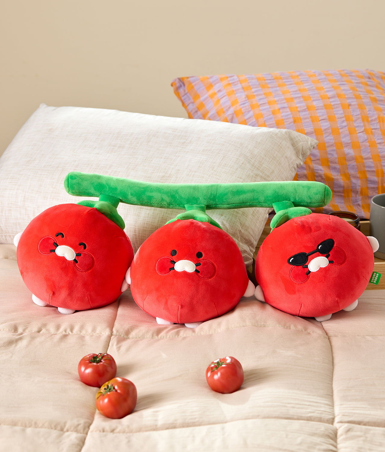 Kakao Friends Chunsik Cushion