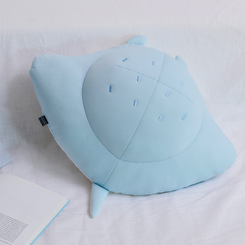 Kakao Friends Chunsik Cooling Pillow