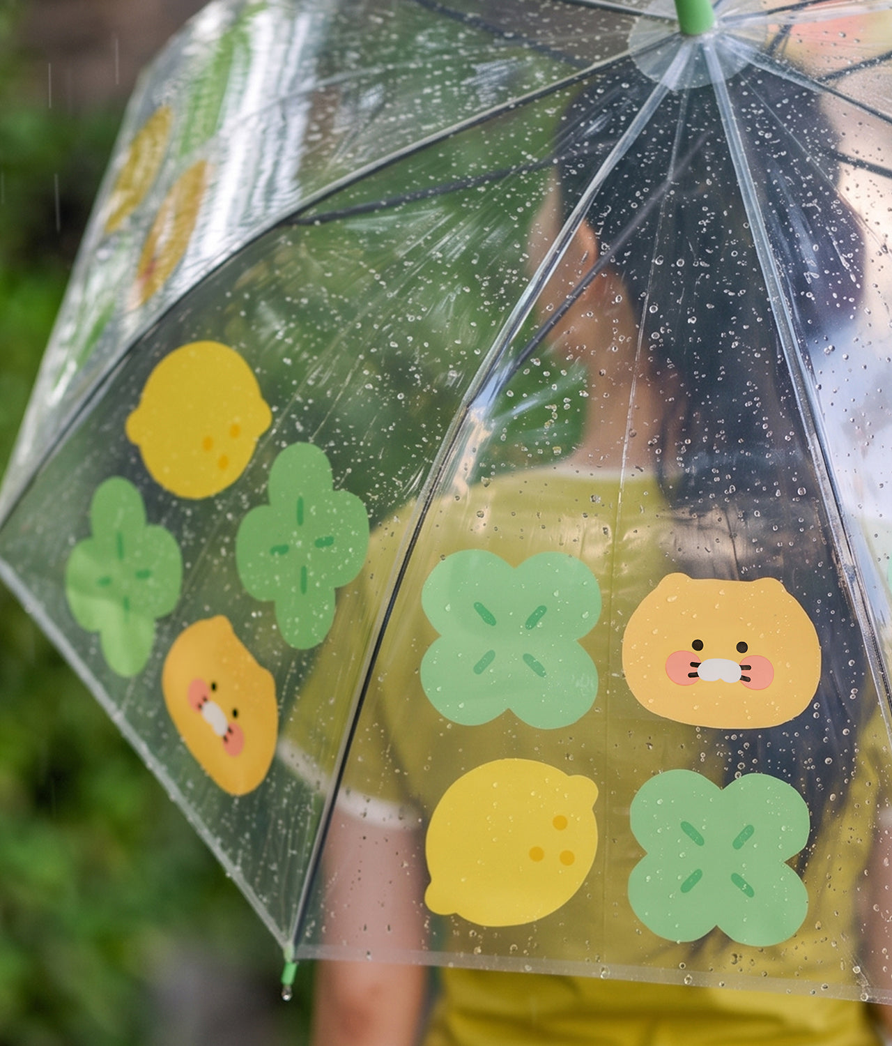 Kakao Friends Chunsik Clear Umbrella