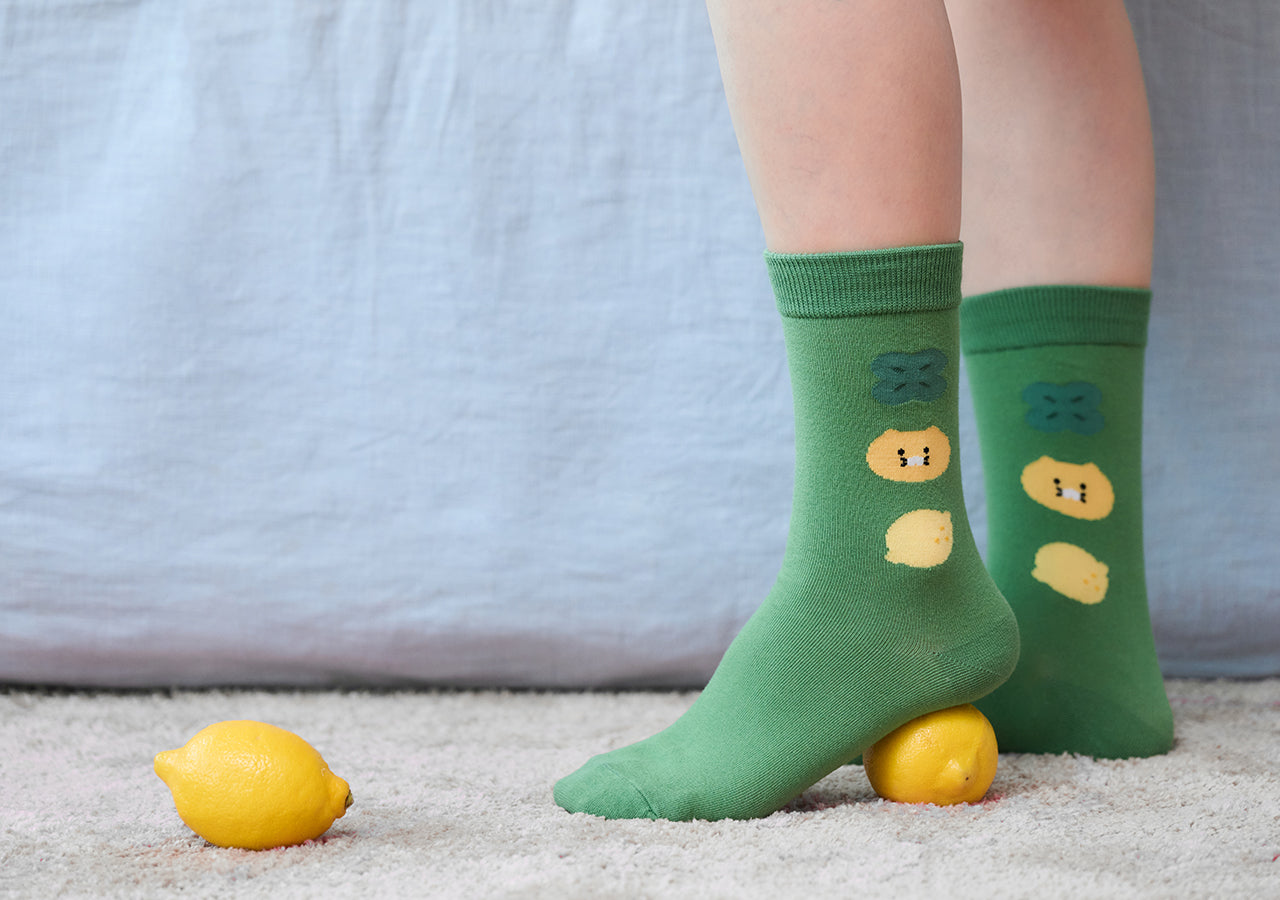 Kakao Friends Chunsik Socks