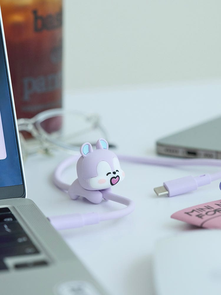 BT21 MANG BASIC USB C CABLE
