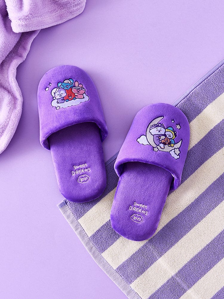 BT21 NEW BASIC SWEET DREAMS HOME SLIPPER