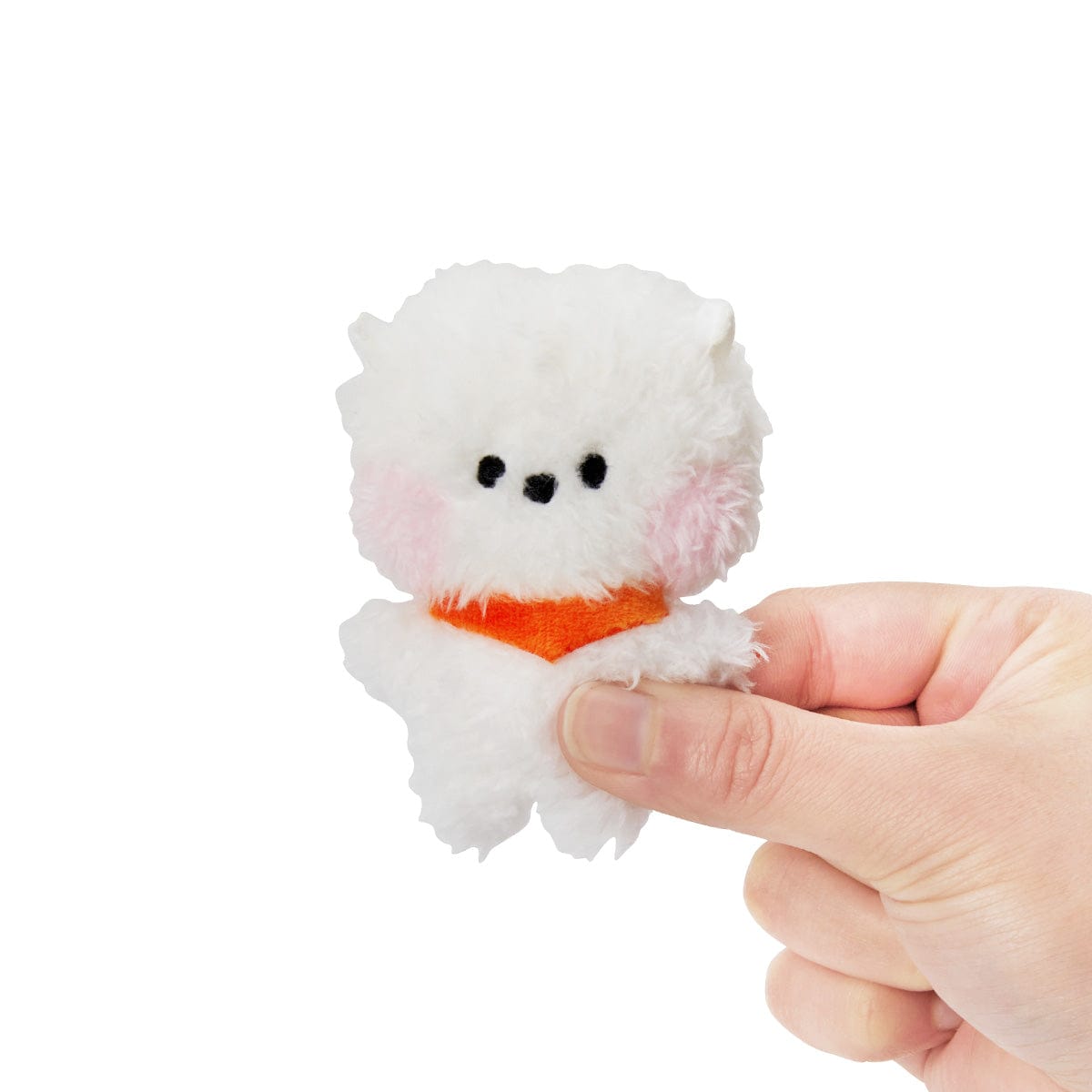 BT21 mini minini RJ DOLL