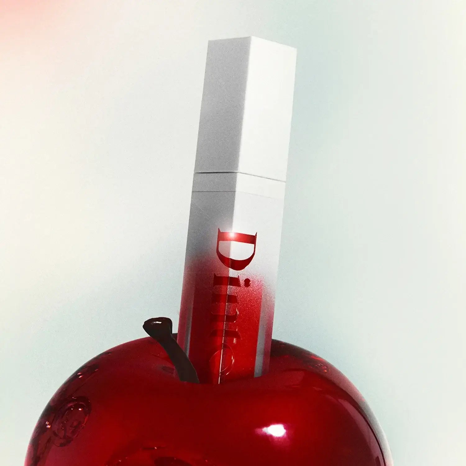 Dinto Mirroless Lip Gloss