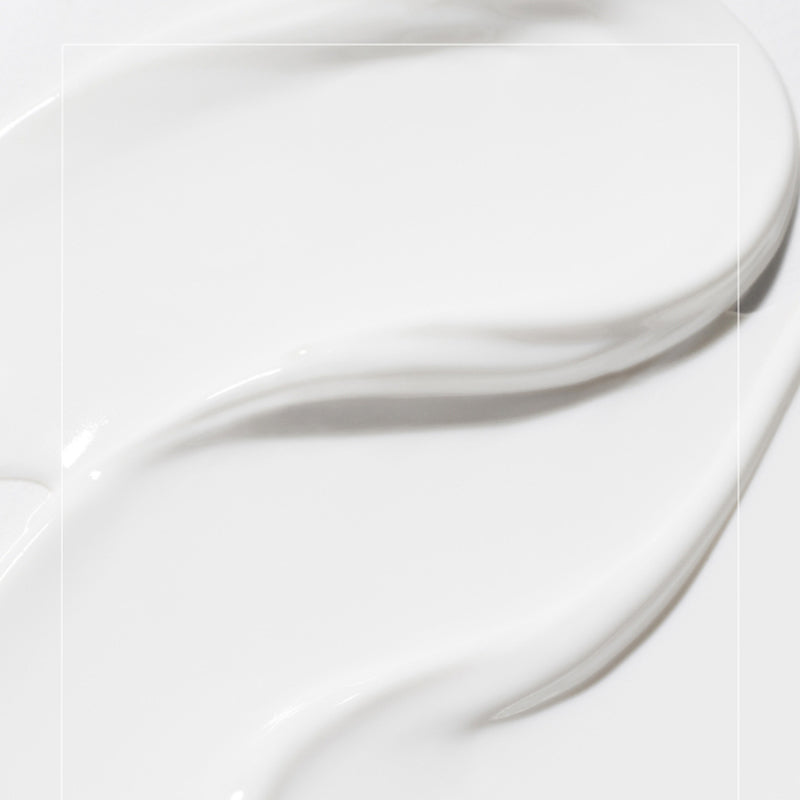 Innisfree No Sebum Sun Cushion 14g
