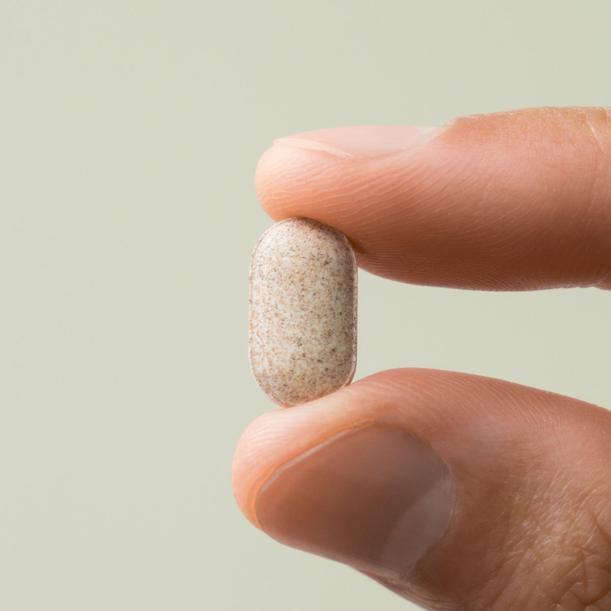 LAZY SOCIETY Black Maca Plus Supplement 120 Tablets - Gentleman Korea close-up of tablet held between fingers