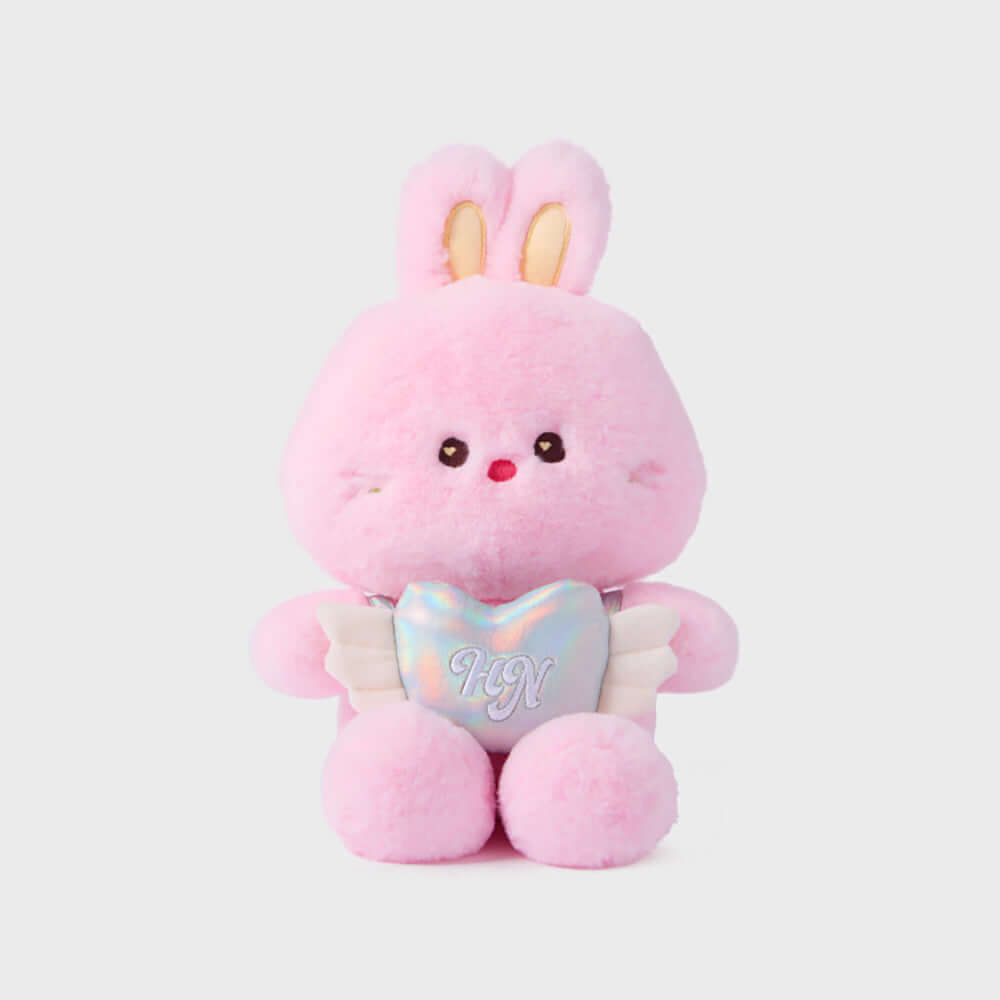 Line Friends Newjeans Bunini Message Plushy