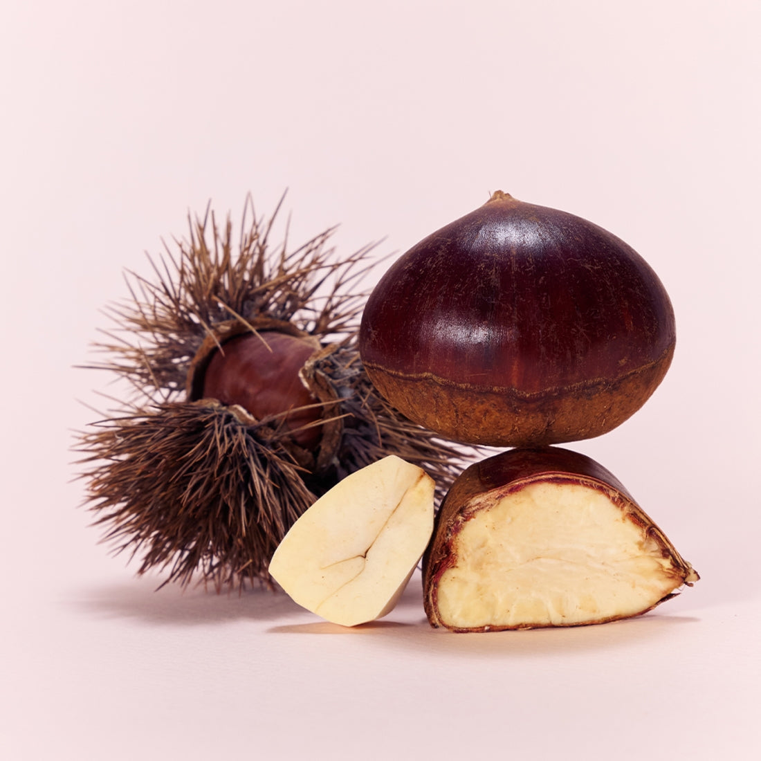 Whole and sliced chestnuts on display, illustrating ingredients in OSULLOC Marron Cream Black Tea 10 p.