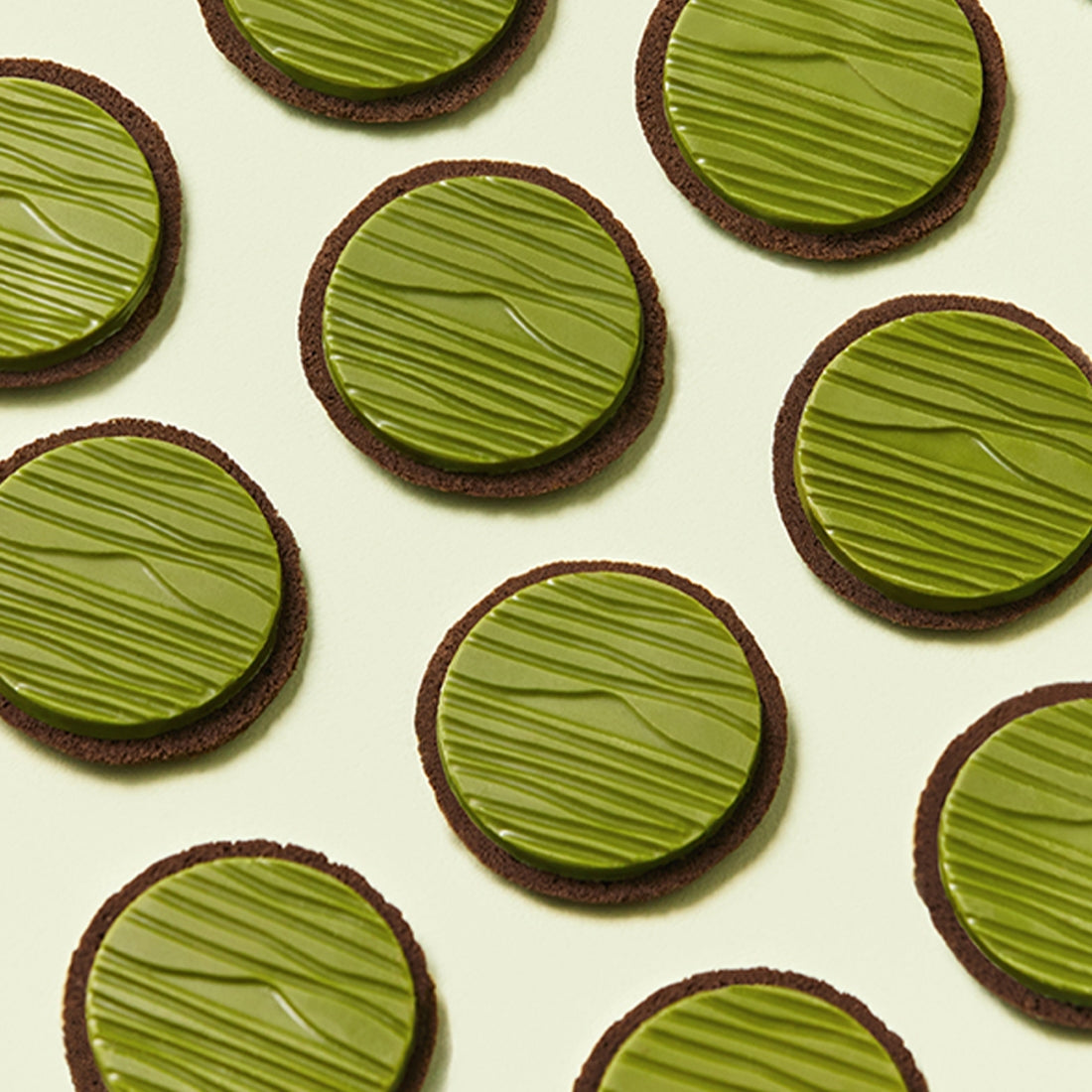OSULLOC Signature Biscuits 10 P arranged in a grid pattern, showcasing green textured tops on round cookies.