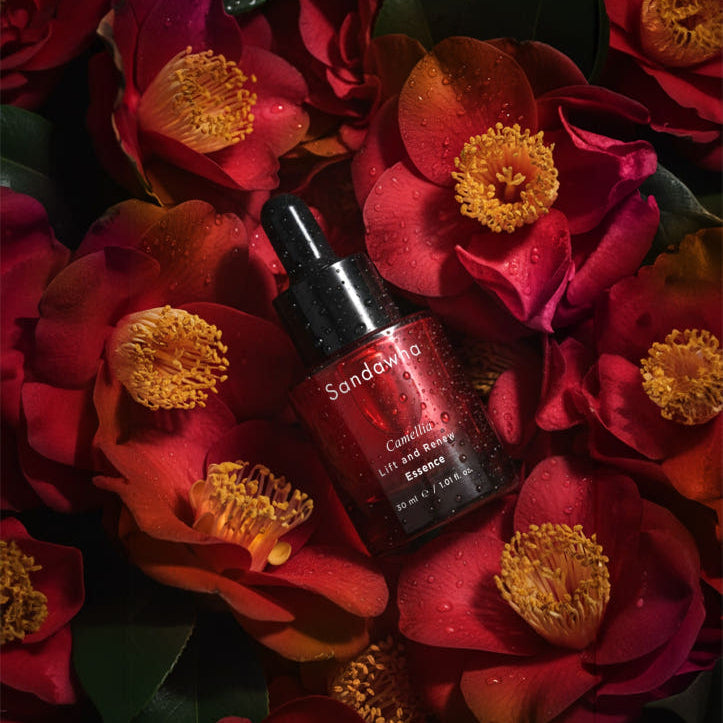 Sandawha Camellia Lift & Renew Essence 30ml
