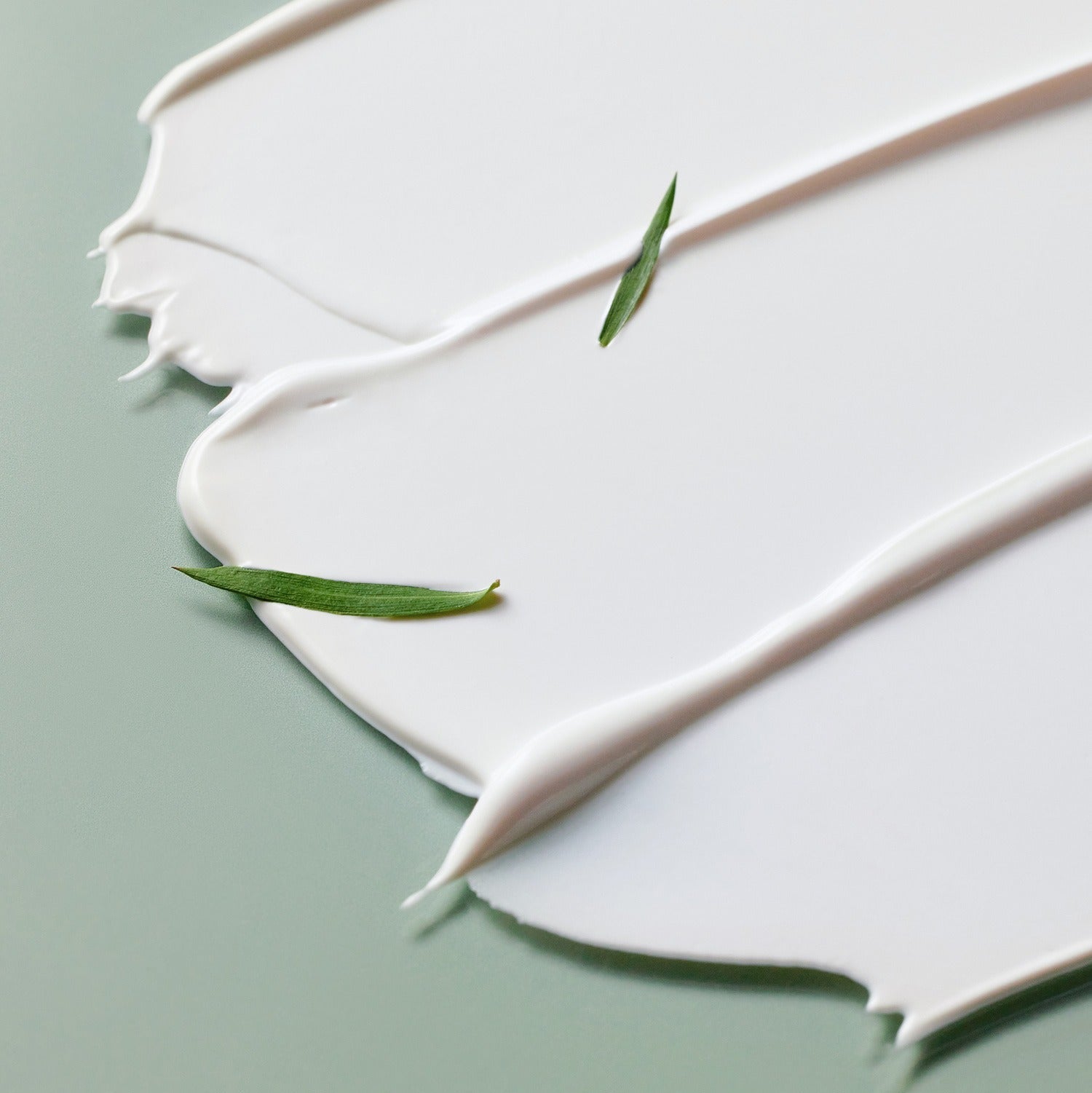 Texture of SOME BY MI Truecica Weaponless Calming Tone Up Sun Cream 50ml with green leaves accent