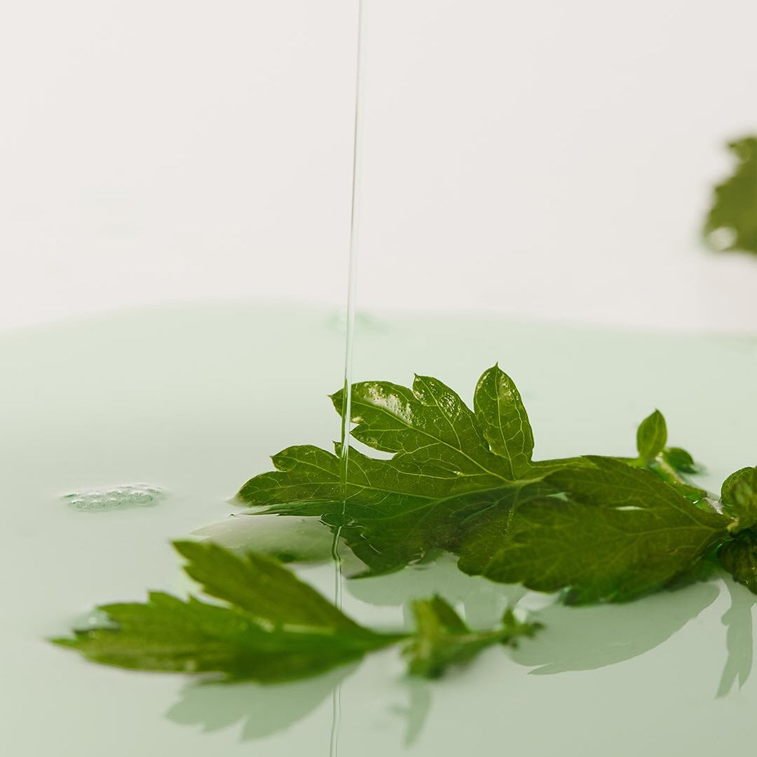 Fresh green leaves with liquid representing WHIPPED Mugtree Vegan Pore Cooling Squeeze Mask 1ea formulation