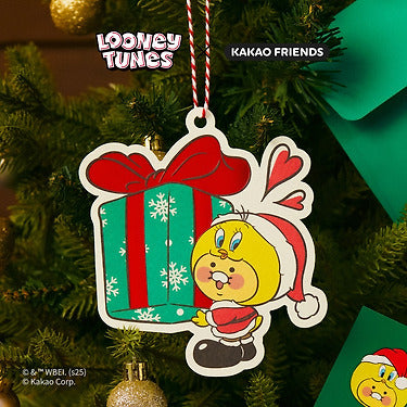 Kakao Friends - X Friends Card Baby Chunsik