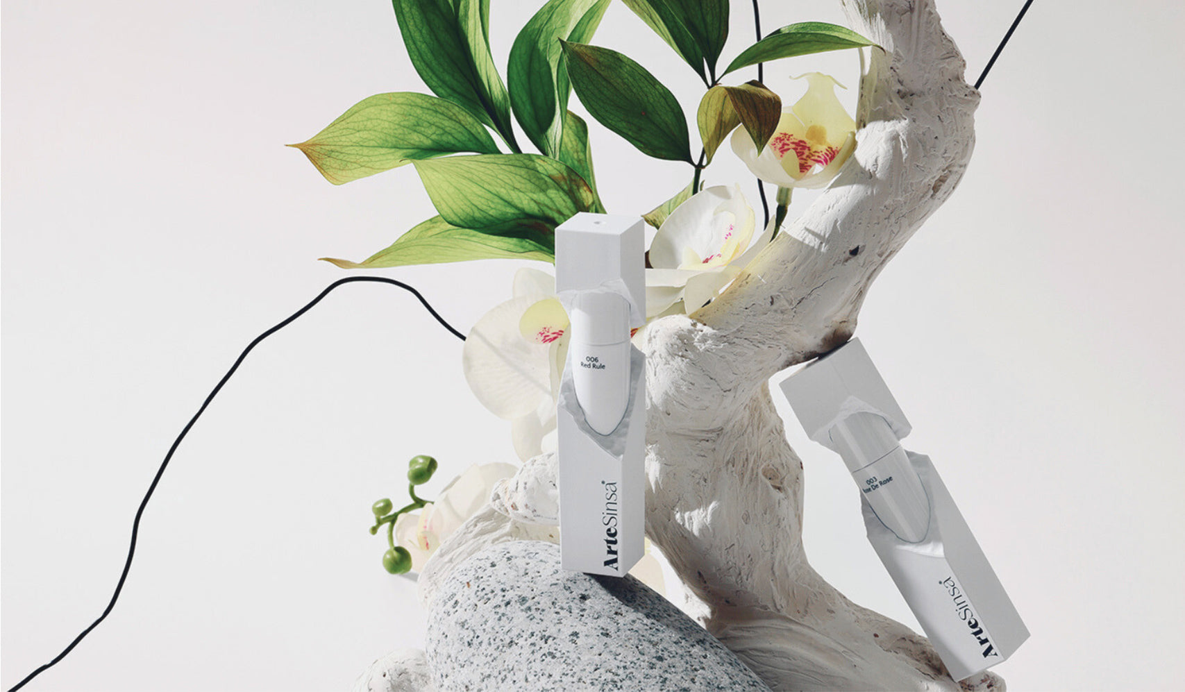 Exploring ARTESINSA: A Beacon of Korean Innovation and Tradition with elegant product display