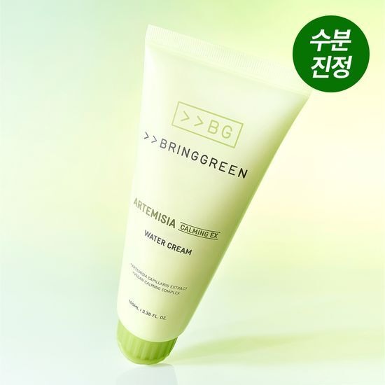 BRINGGREEN Artemisia Calming EX Water Cream 100ml - Kool Seoul Korean K-Beauty